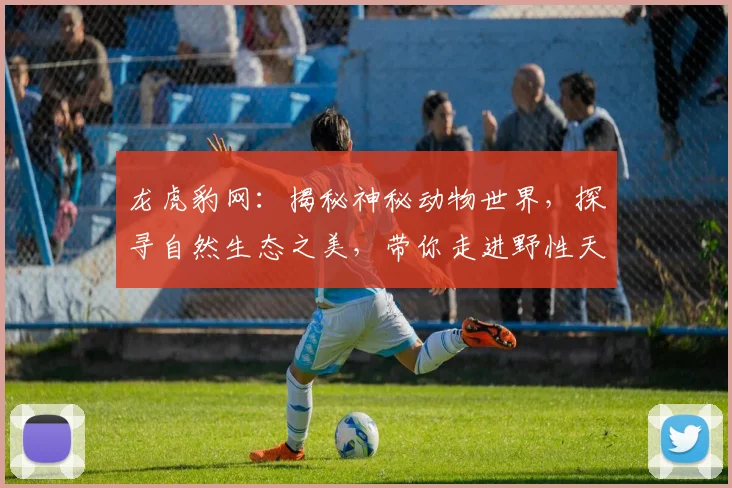 龙虎豹网：揭秘神秘动物世界，探寻自然生态之美，带你走进野性天地，体验非凡之旅