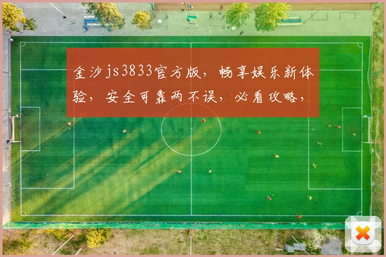 金沙js3833官方版，畅享娱乐新体验，安全可靠两不误，必看攻略，让您轻松上手